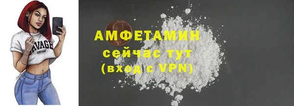 шишки Всеволожск