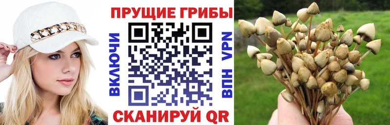 kraken сайт  Ершов  Галлюциногенные грибы ЛСД  где можно купить наркотик 